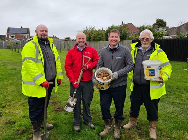 Lovell teams up with Holt Town Council to plant thousands of bulbs to help town bloom